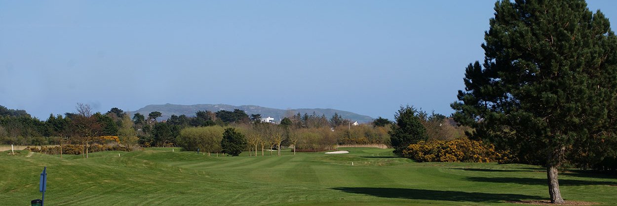 Balcarrick Golf Club banner