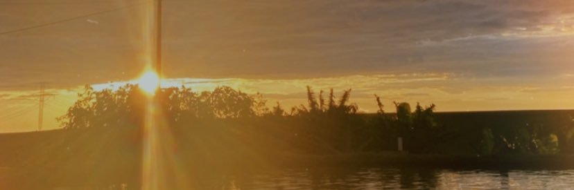 Carolpavezi's profile banner image