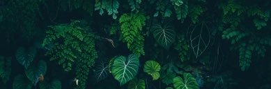 miranda bissonnette banner