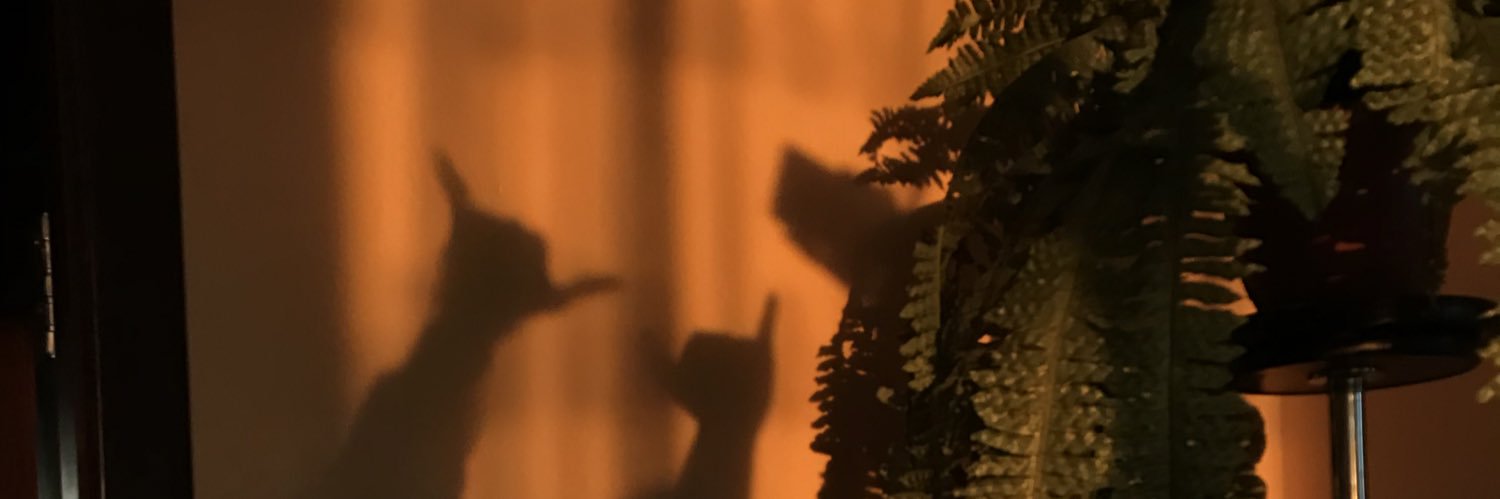 sahko24's profile banner image