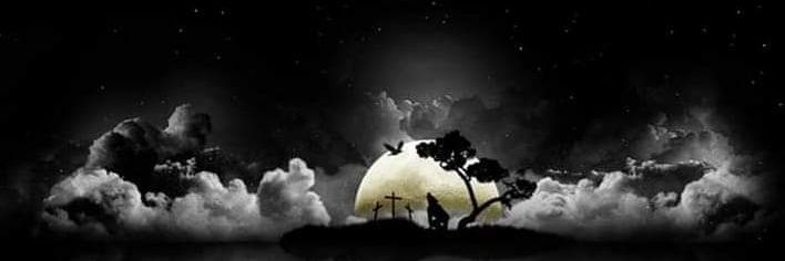TWDNut's profile banner image