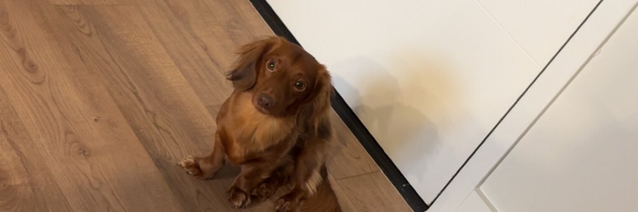 caIamaripapi's profile banner image