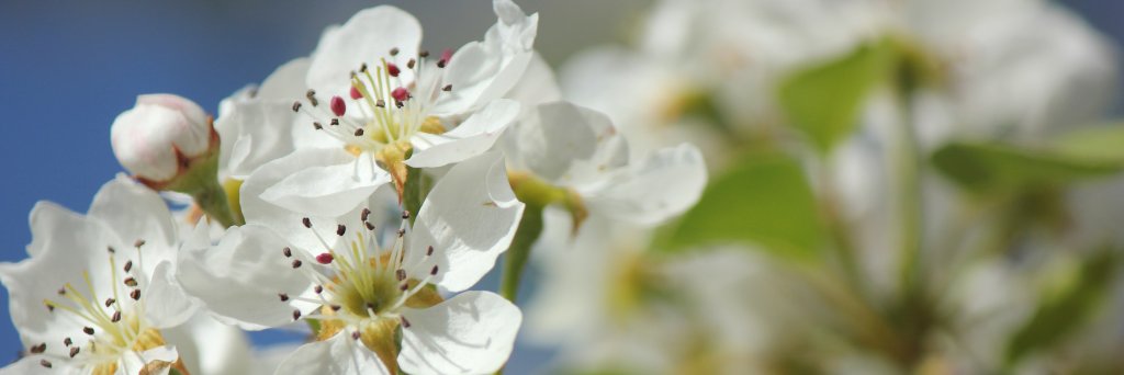 newsreader_us's profile banner image