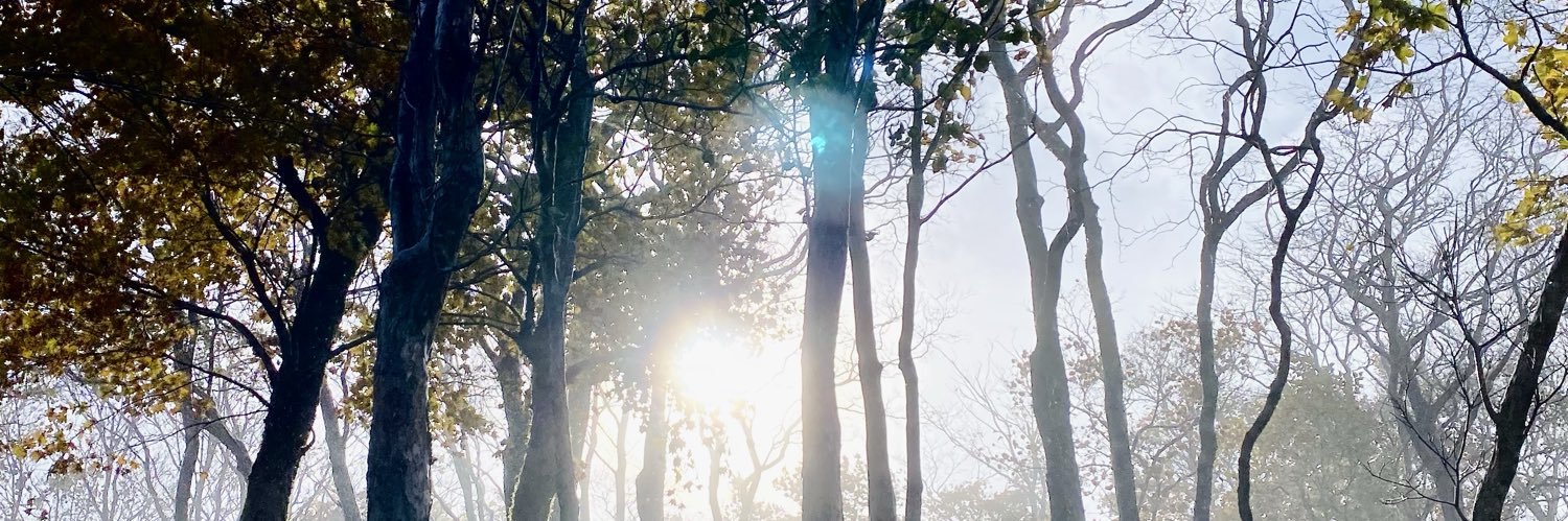 ____kz6's profile banner image