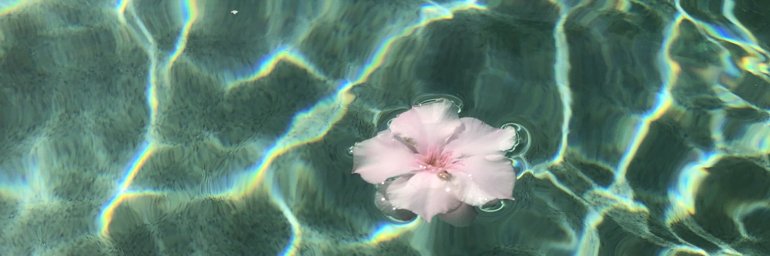 hellohighyou's profile banner image