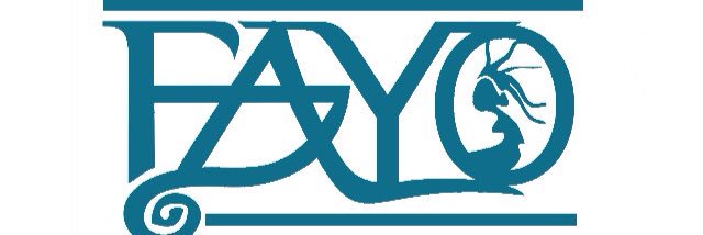 FAYOofficial's profile banner image