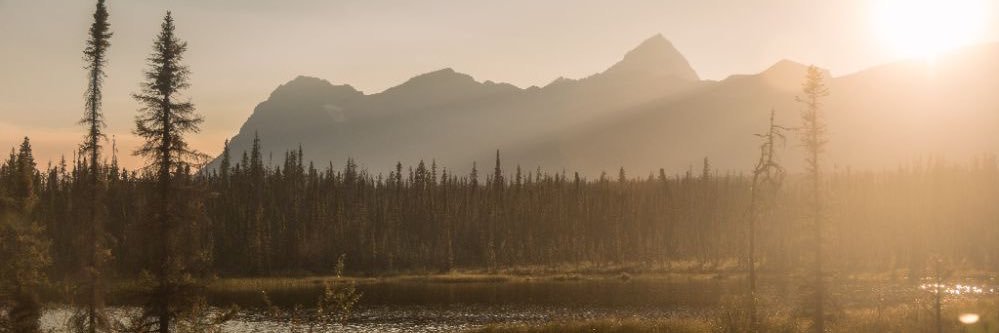 EmilyDempsey_'s profile banner image