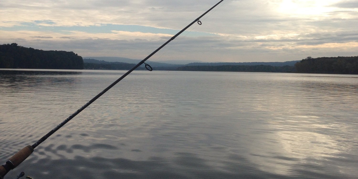 raynsford4's profile banner image