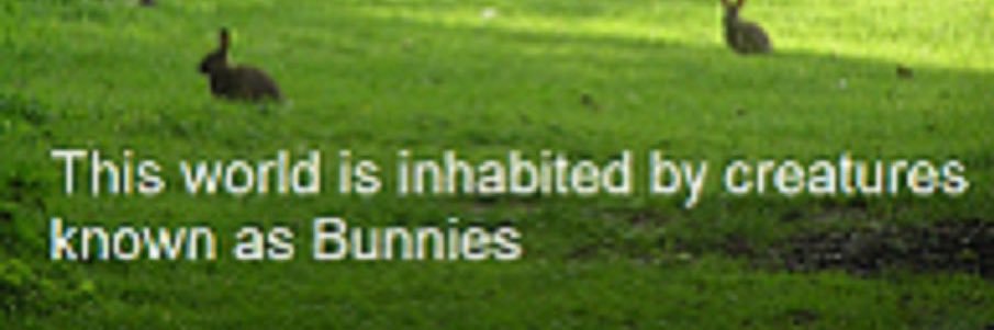 icedwaterpapi's profile banner image