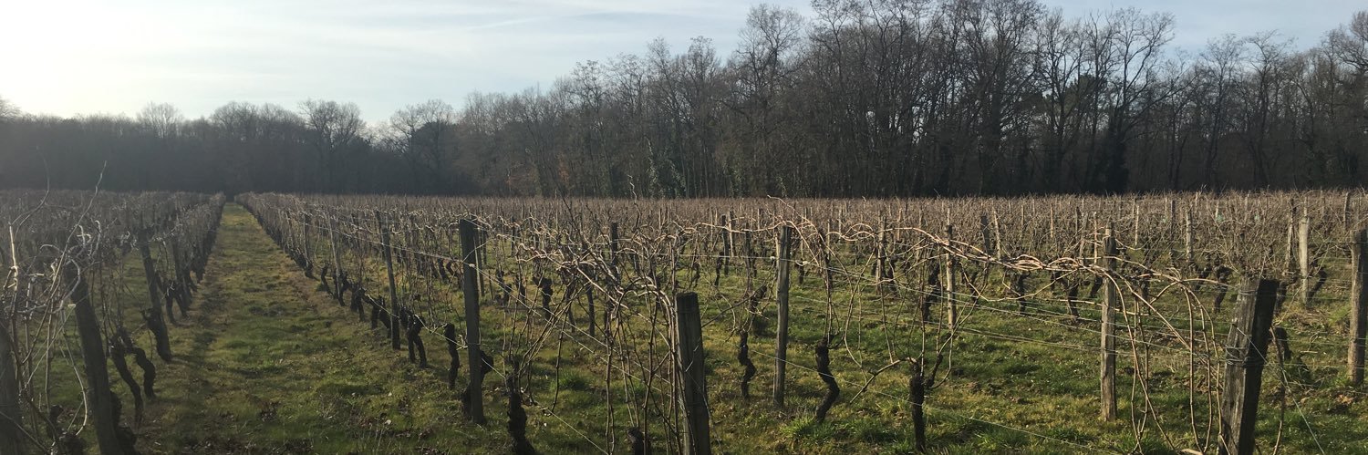 David Yoshida banner