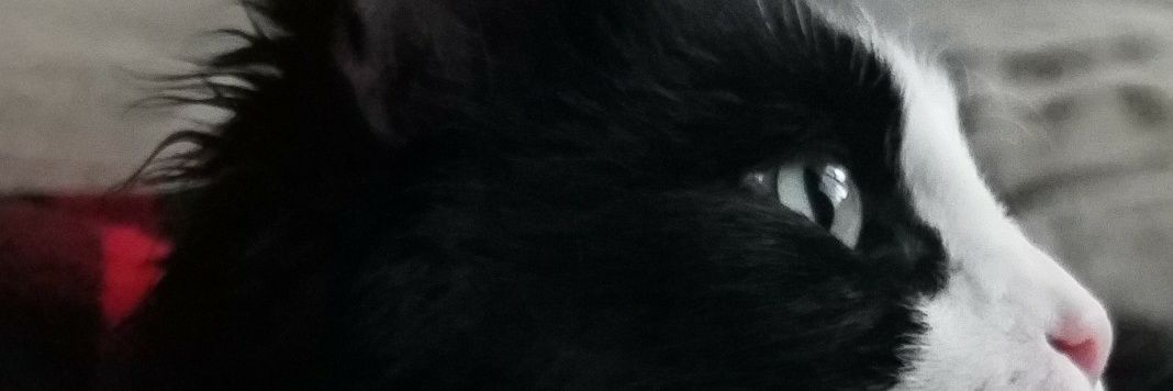 Alistarrbby's profile banner image
