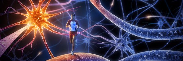 therealkaveh Profile Banner