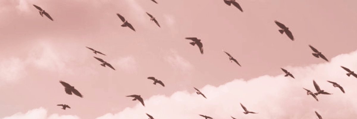 neonbebe's profile banner image