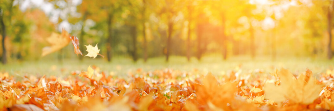 ShineyX banner