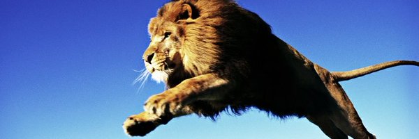 yippekiyaymfs Profile Banner