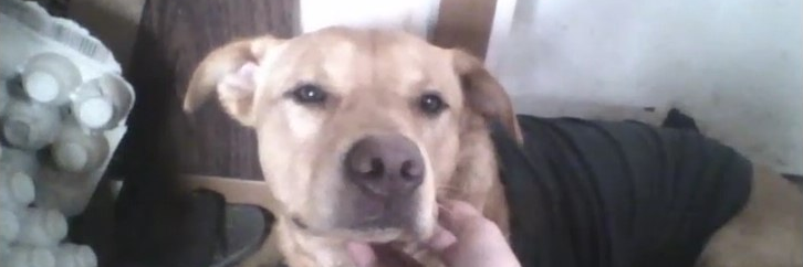 Zer01ne 🇲🇫 banner