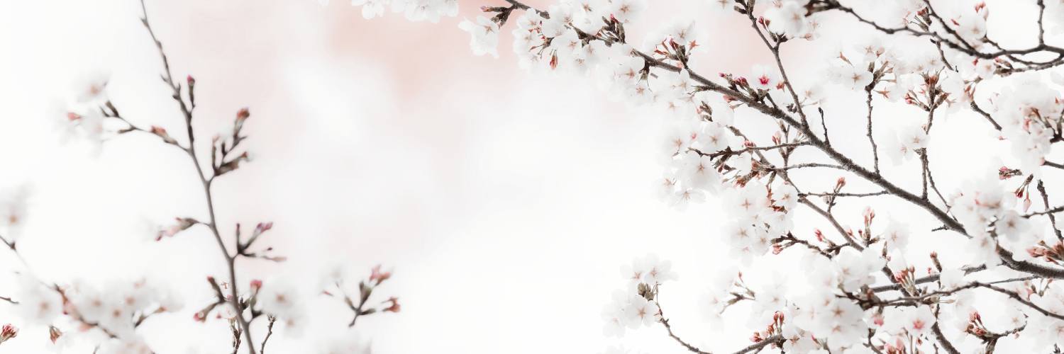SheRedRoses's profile banner image