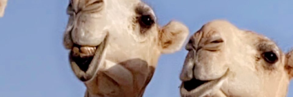سحمي بن عبدالله banner