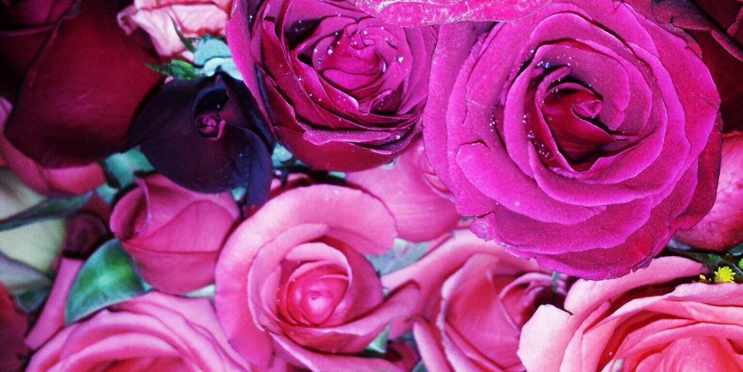 karinaR22's profile banner image