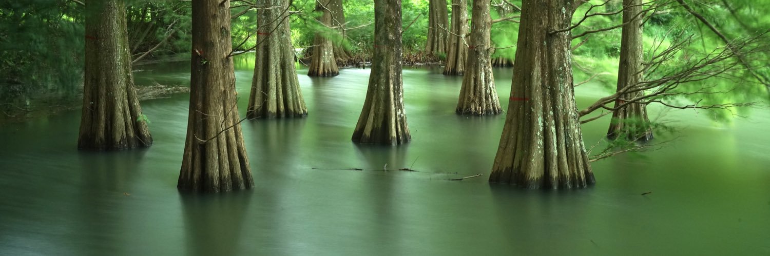 ぽこちゃん banner