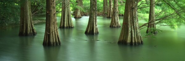 fumiumix Profile Banner