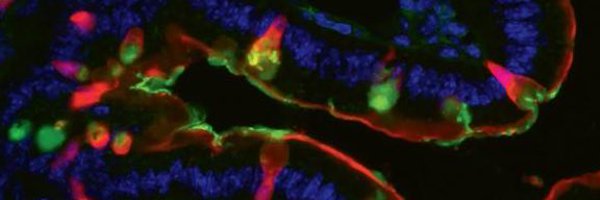 devesha_k Profile Banner