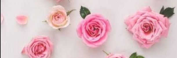 PrincessPinkyK's profile banner image
