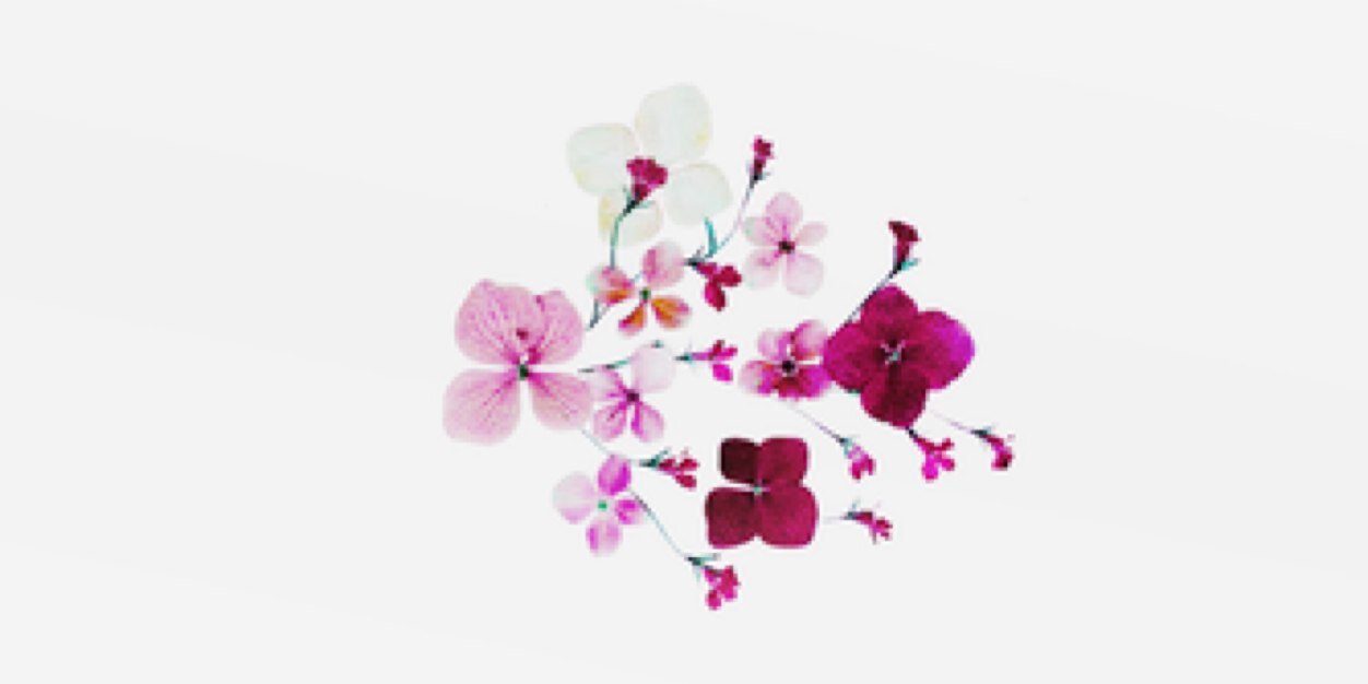 Ari_GrandeDL's profile banner image