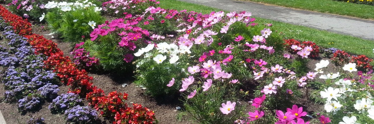 ivone6268's profile banner image