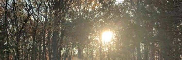 elhdesign's profile banner image