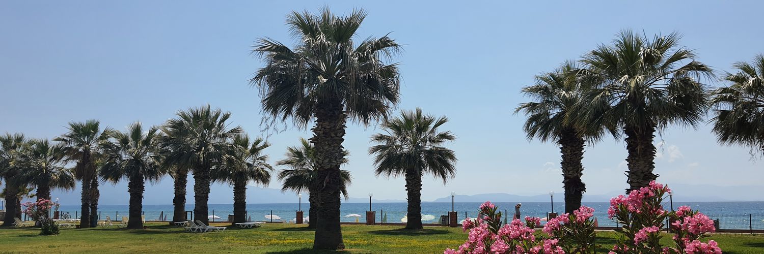 ilknurefeoglu's profile banner image