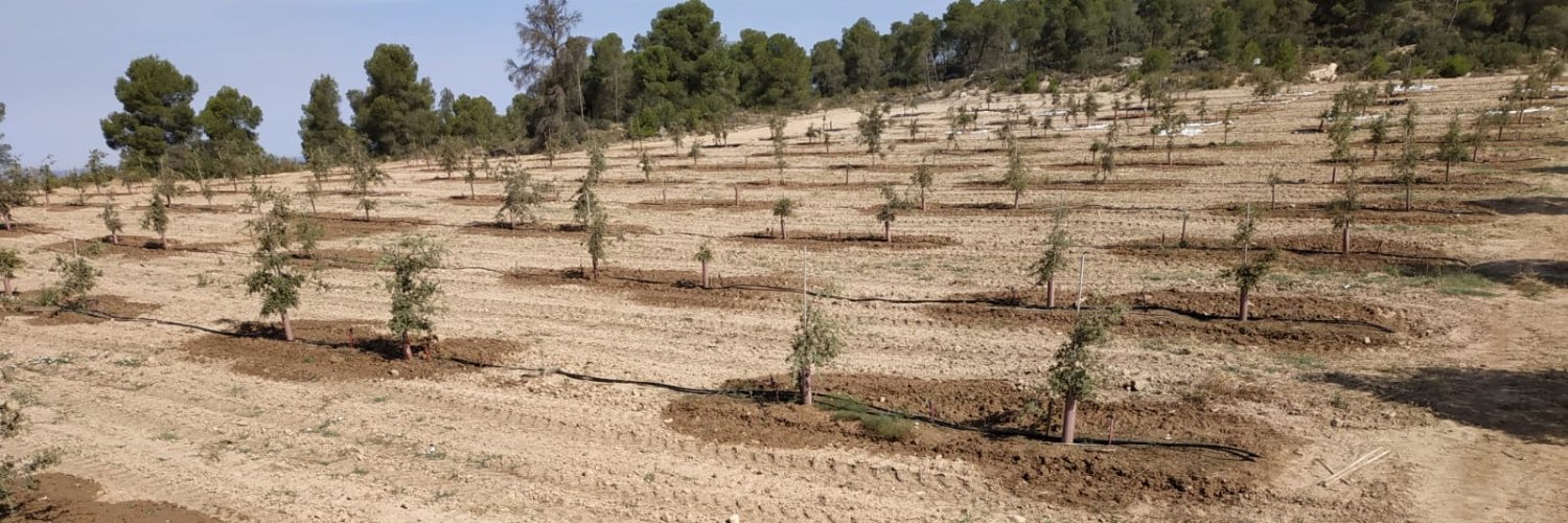 Daniel Oliach banner