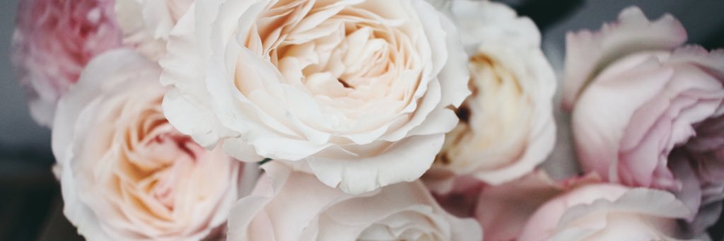 melcheca's profile banner image