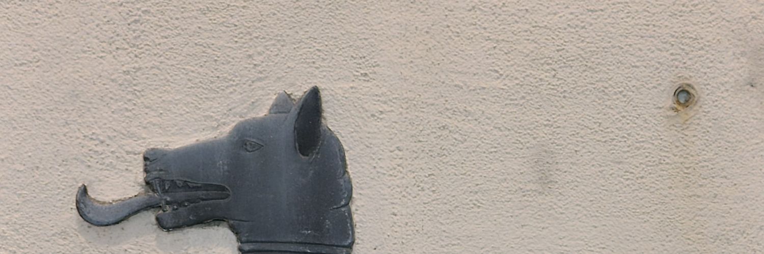TmacaulayT's profile banner image
