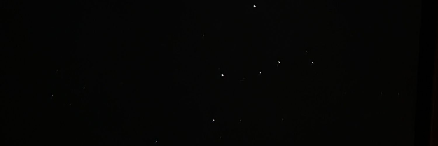 vero 🐨 banner