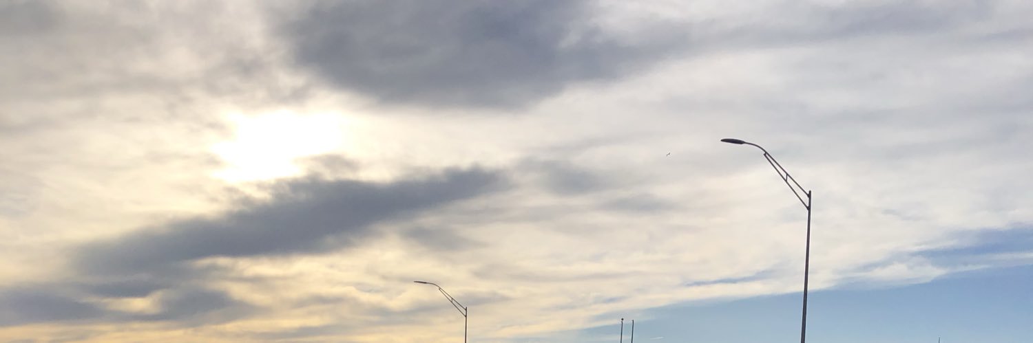 Sandra Ortiz banner