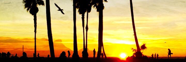 warshie3's profile banner image
