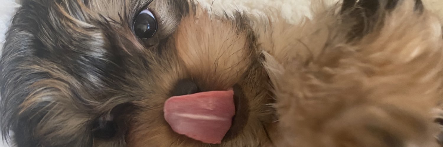 jesslea_'s profile banner image