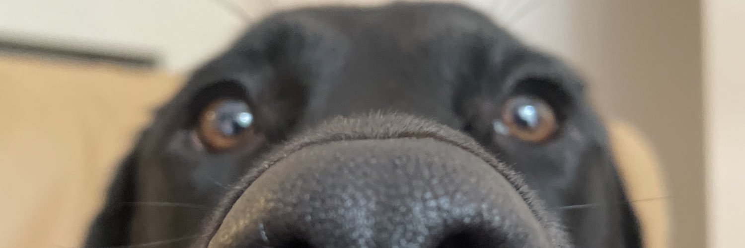 sammycamut's profile banner image