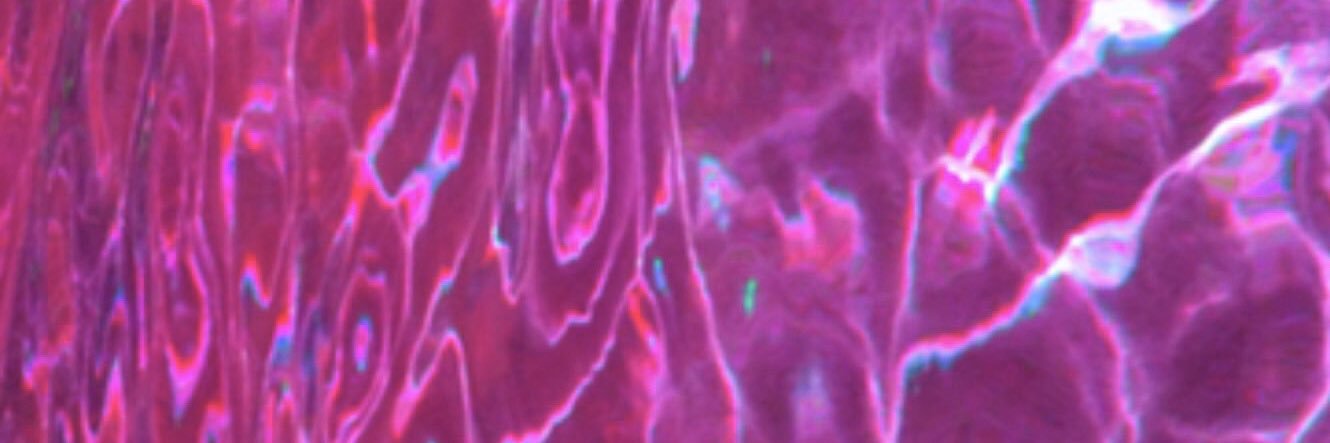 juliaatfa's profile banner image