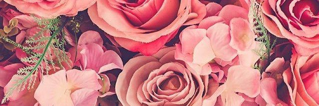 torisheaa's profile banner image