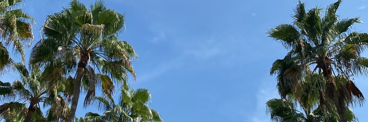 Emisolisgal96's profile banner image