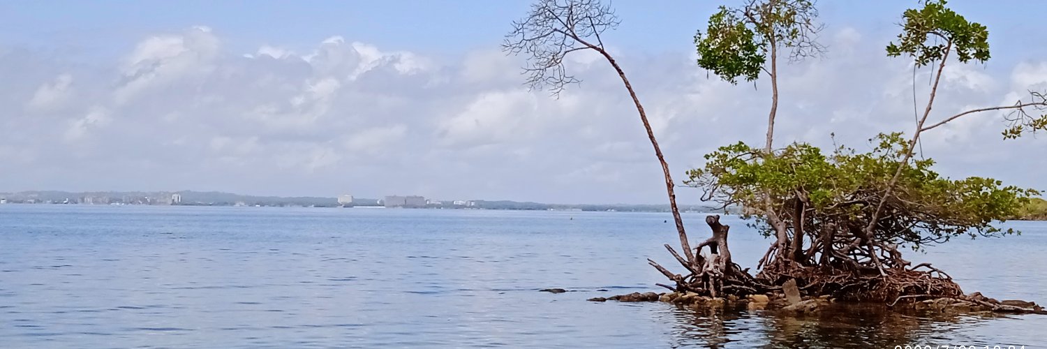 ukuphila17's profile banner image