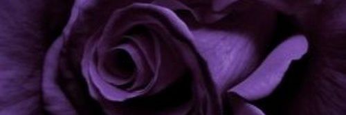 xxssaarab's profile banner image