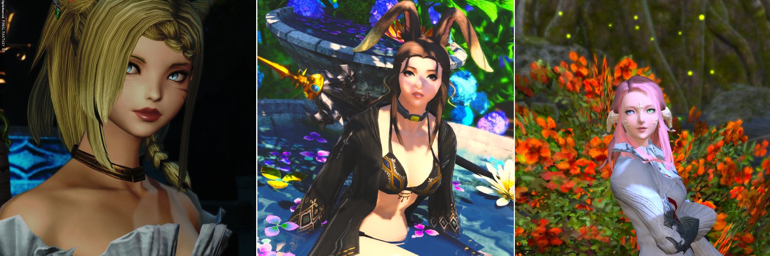 Bbax banner