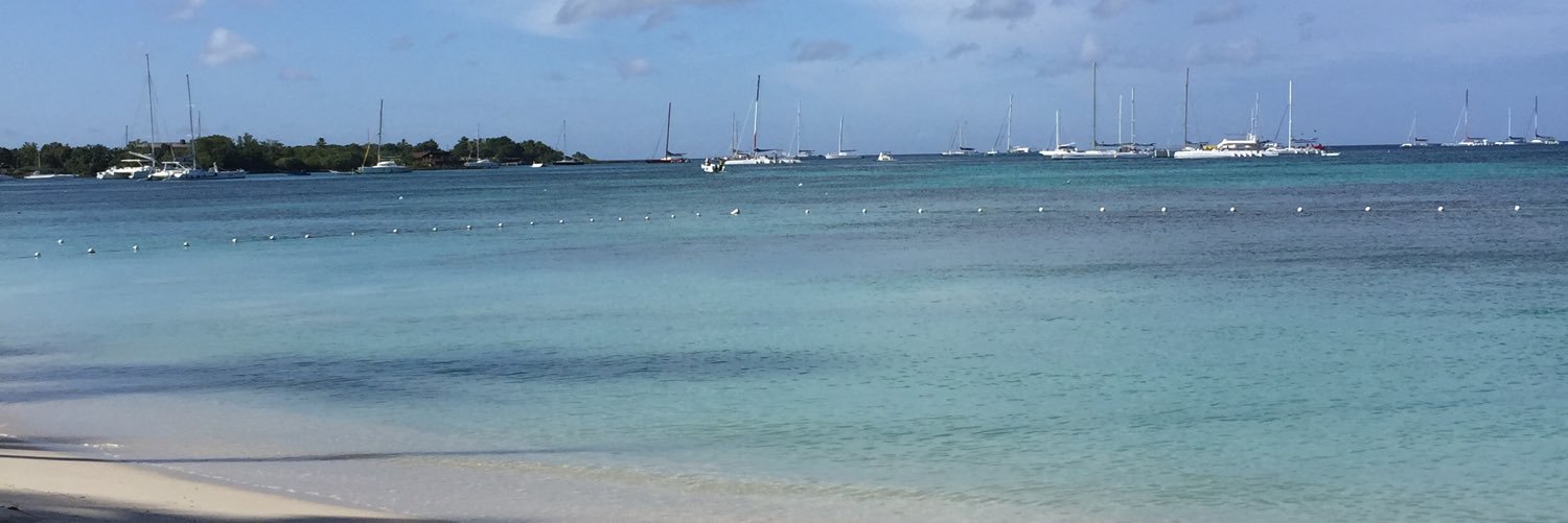 Sarah Burnham banner