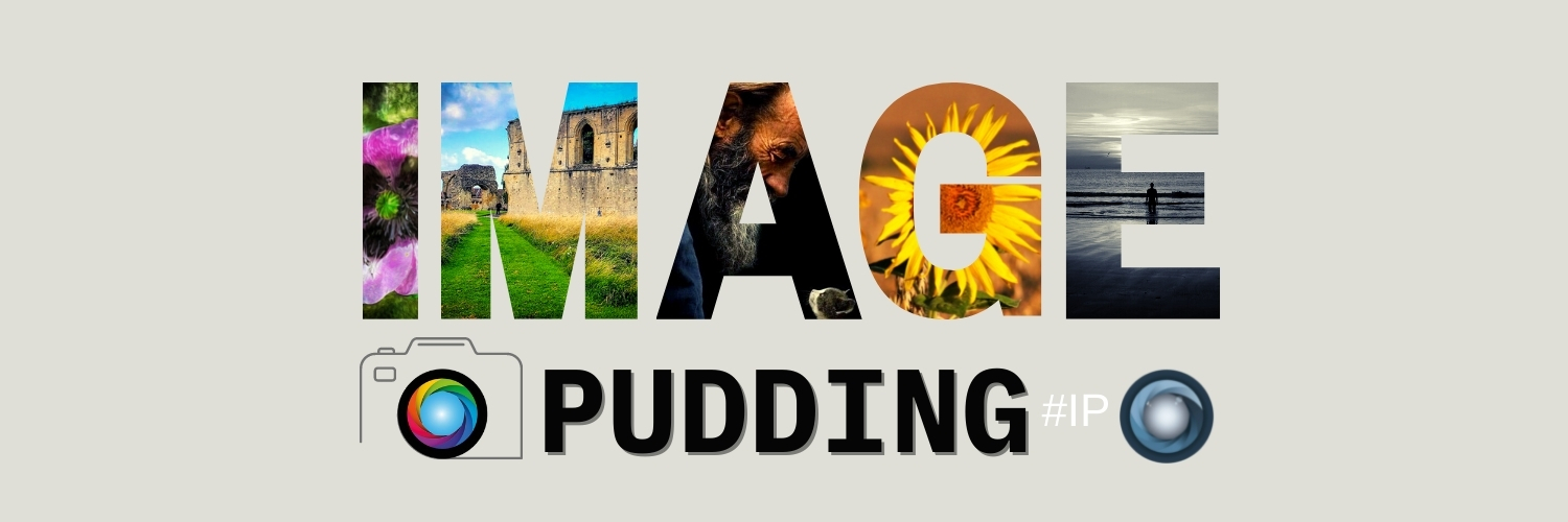 Rick Wallington banner