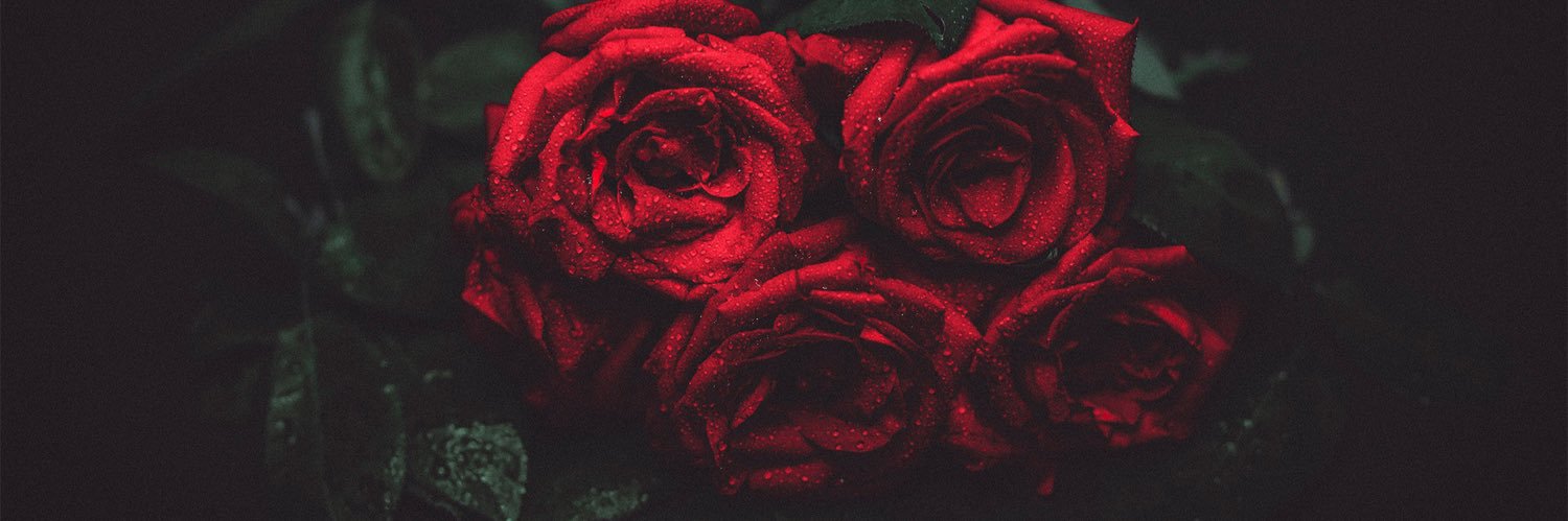 SebnemceHanim's profile banner image