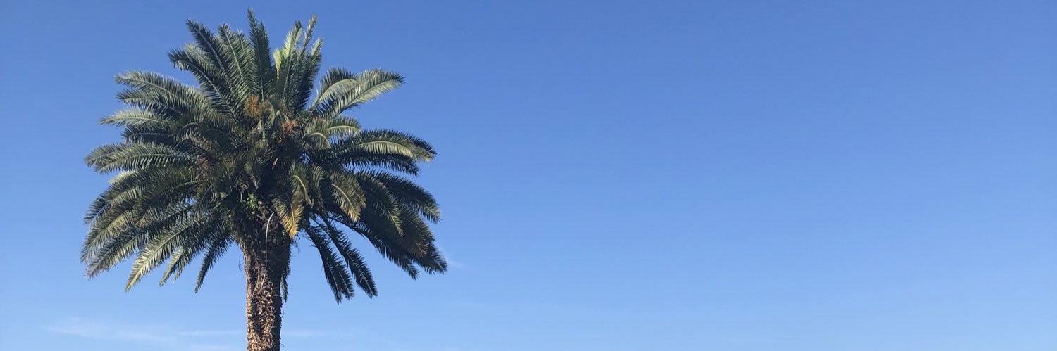 GroebnerAlex's profile banner image