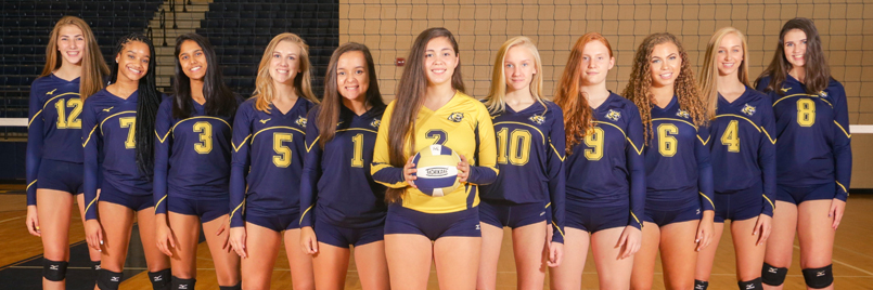 Wheeler Volleyball banner